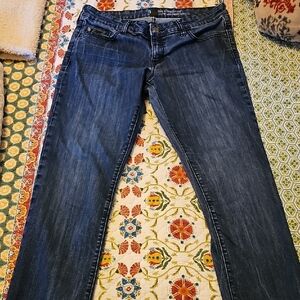 GAP Denim Straight Leg Jeans Size 10